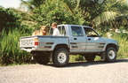 Hilux 33